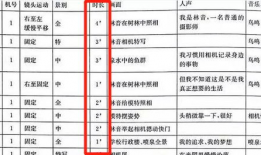 短视频脚本模板,轻松打造爆款内容，吸粉涨粉两不误